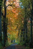 19: IMG_0352_ed