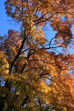 21: IMG_0362_ed