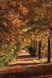 20: IMG_0372_ed