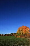 22: IMG_0402_ed