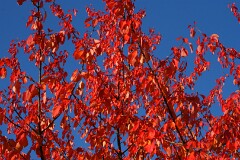 6: IMG_0756_edit