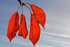 3: IMG_0786_edit2