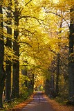4: IMG_0831_edit4