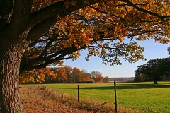 5: IMG_0912_edit