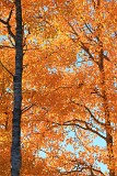 23: IMG_1291_ed1