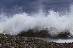 15: IMG_1835_ed