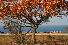 14: IMG_3024_edit2