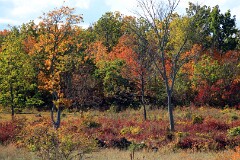 37: IMG_3358_ed2