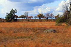 38: IMG_3403_ed2