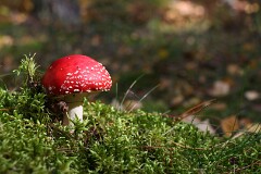 25: IMG_4130_ed
