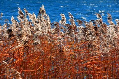 27: IMG_5483_ed2