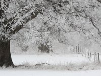 Vinter