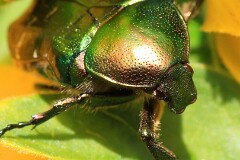 1: IMG_0683_ed_ct2