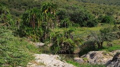 9: IMG_5371_ed_aish_ct16-9