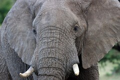 2: IMG_5788_ed2