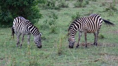 5: IMG_5866_ed_aish_ct16-9