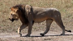 20: IMG_6334_ed_aish_ct16-9