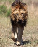 21: IMG_6349_ed_aish_ct
