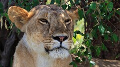 25: IMG_6539_ed_aish_ct16-9