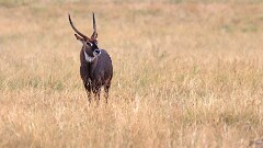 19: IMG_6860_ed_aish_ct16-9
