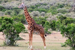 35: IMG_6951_ed_aish_ct