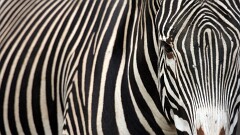 1: IMG_0082_ed_16-9