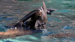 4: IMG_9446_ed_16-9