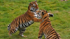 6: IMG_9574_edit_16-9