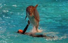 18: IMG_9631_ed_aidn