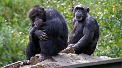 7: IMG_9685_ed_16-9