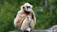 8: IMG_9783_ed_16-9