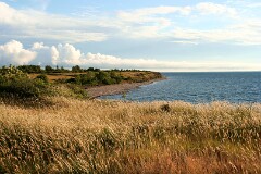 2: Grönvikx2_filtered