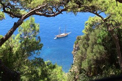 47: IMG_0155_ed_ct