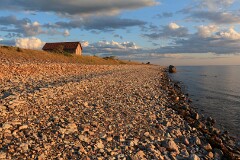 42: IMG_0973_ed