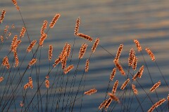 33: IMG_1035_ed_flt