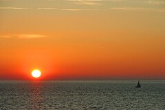 22: IMG_1131_edit1_filt