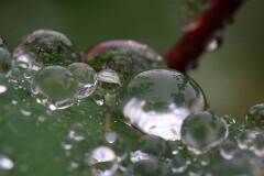 26: IMG_1413_ed_ct_flt