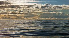 51: IMG_1875_ed2_ct
