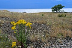 13: IMG_2085_edit