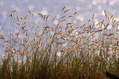18: IMG_2168_edit