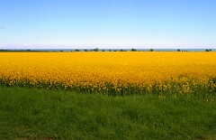 8: IMG_3957_edited2