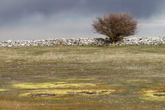 46: IMG_4221_ed_flt_ct
