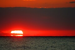 15: IMG_4227_edit_filt