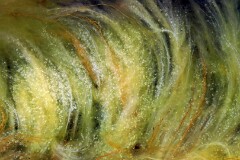 6: IMG_4810_fx_ed2b_aish