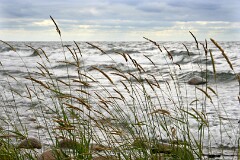 11: IMG_8094_edit