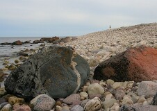 14: IMG_8462_edit2_cut