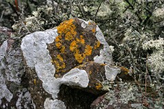 1: IMG_3670_edited