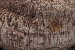 2: IMG_8055
