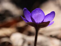 11: IMG_1130_edit_cut