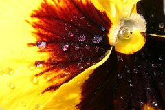 18: IMG_1458_ed